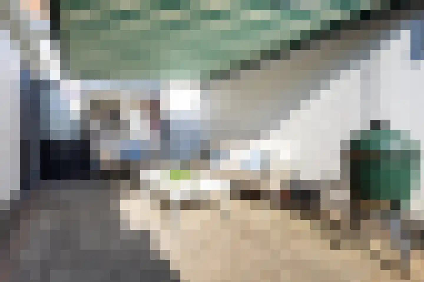 Dahliastraat 9 Terneuzen thumbnail 25