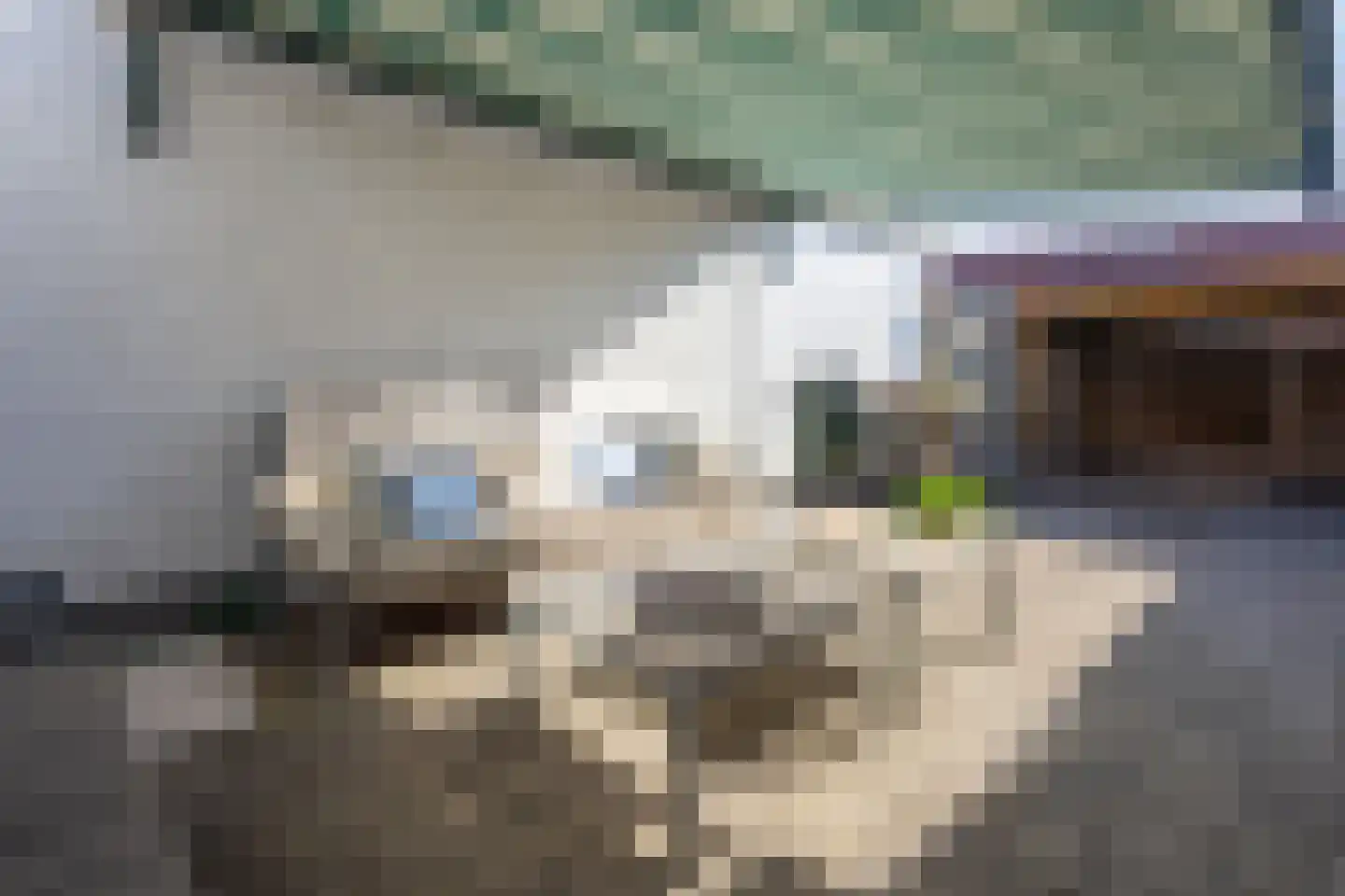 Dahliastraat 9 Terneuzen thumbnail 26