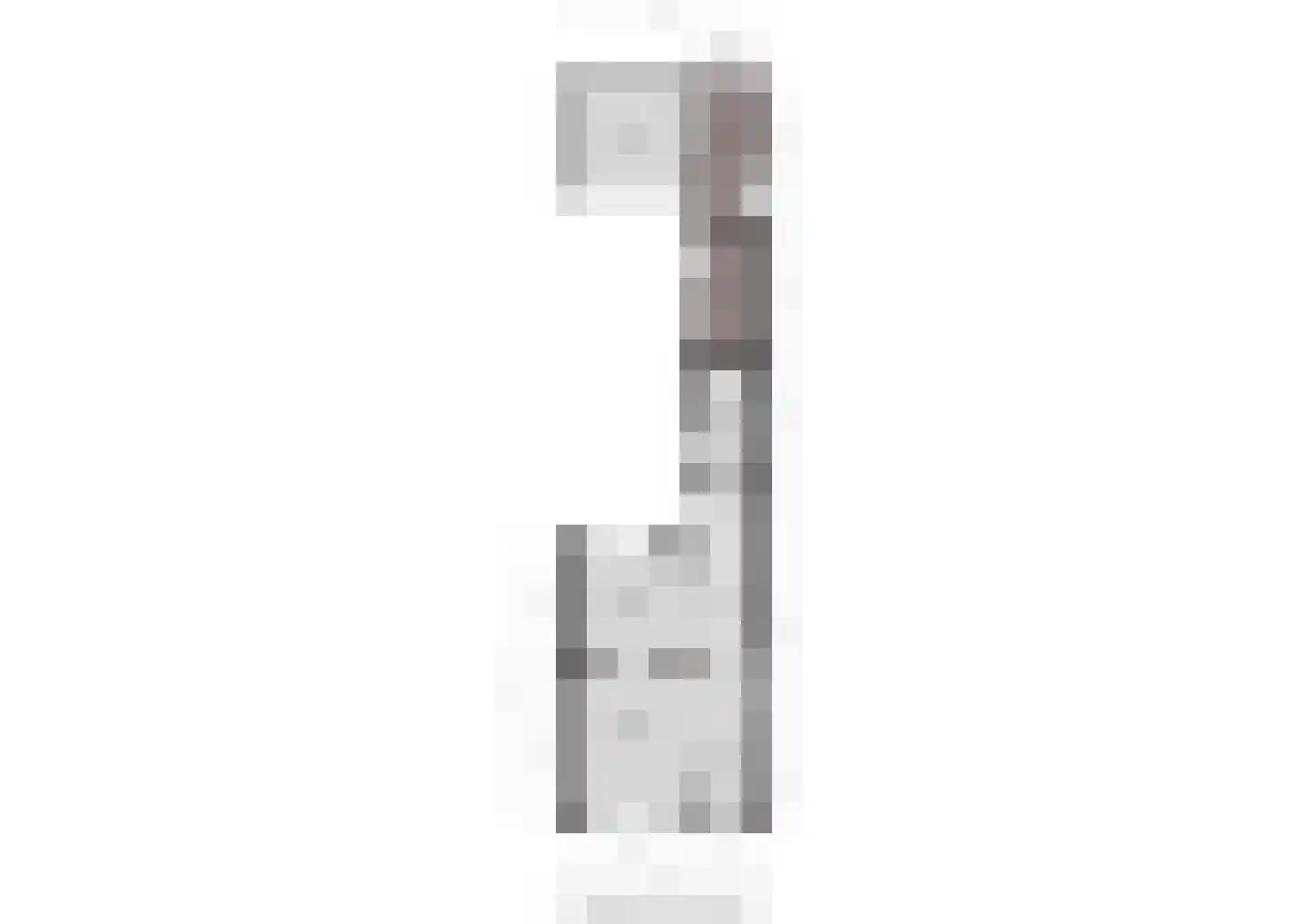 Dahliastraat 9 Terneuzen thumbnail 30