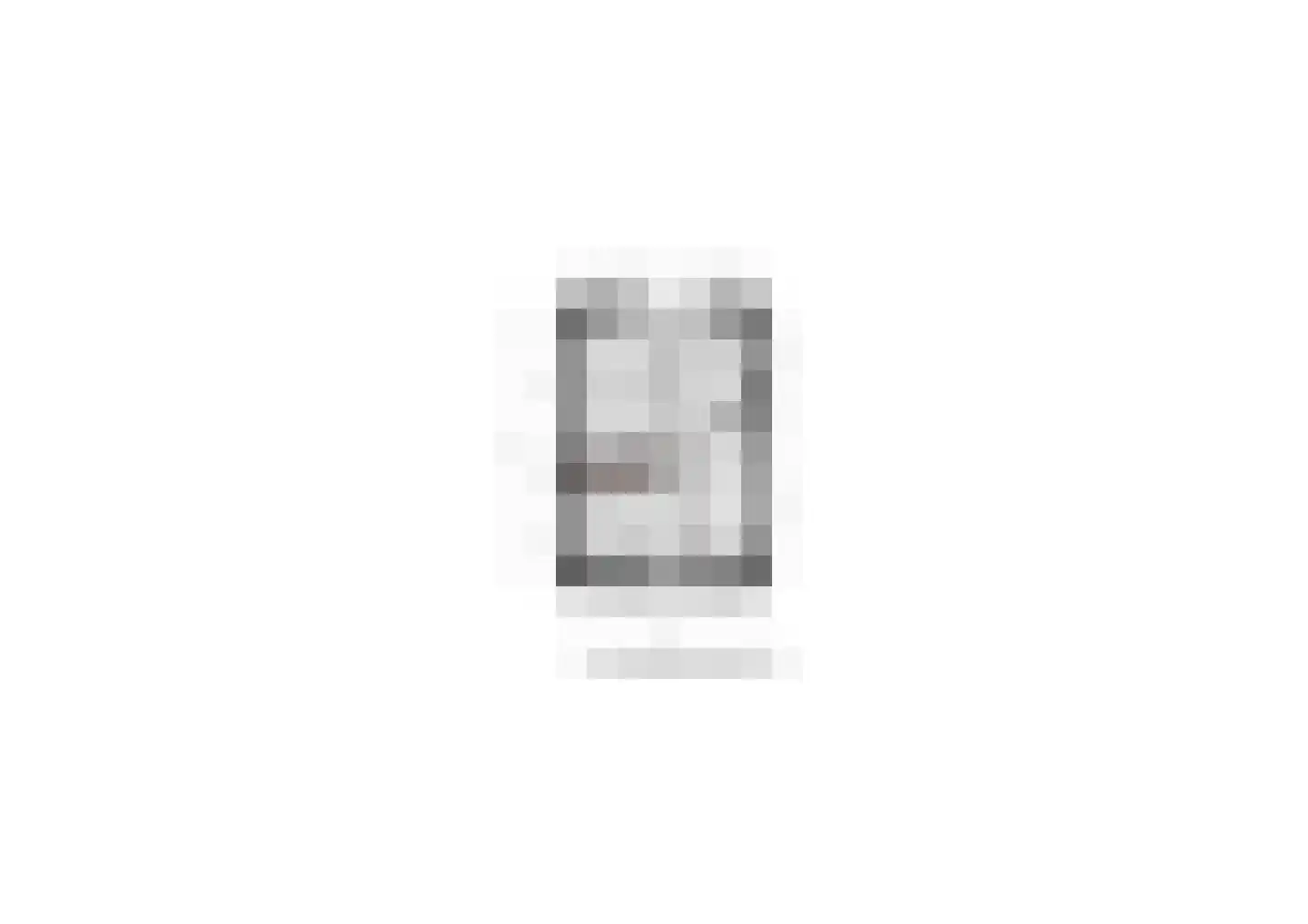 Dahliastraat 9 Terneuzen thumbnail 31