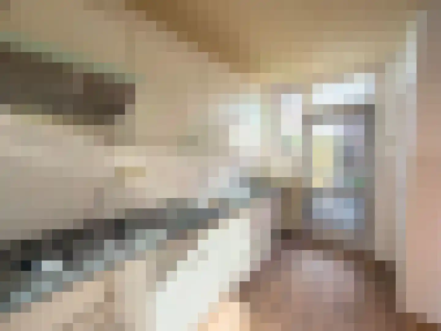 Dahliastraat 9 Wernhout thumbnail 13