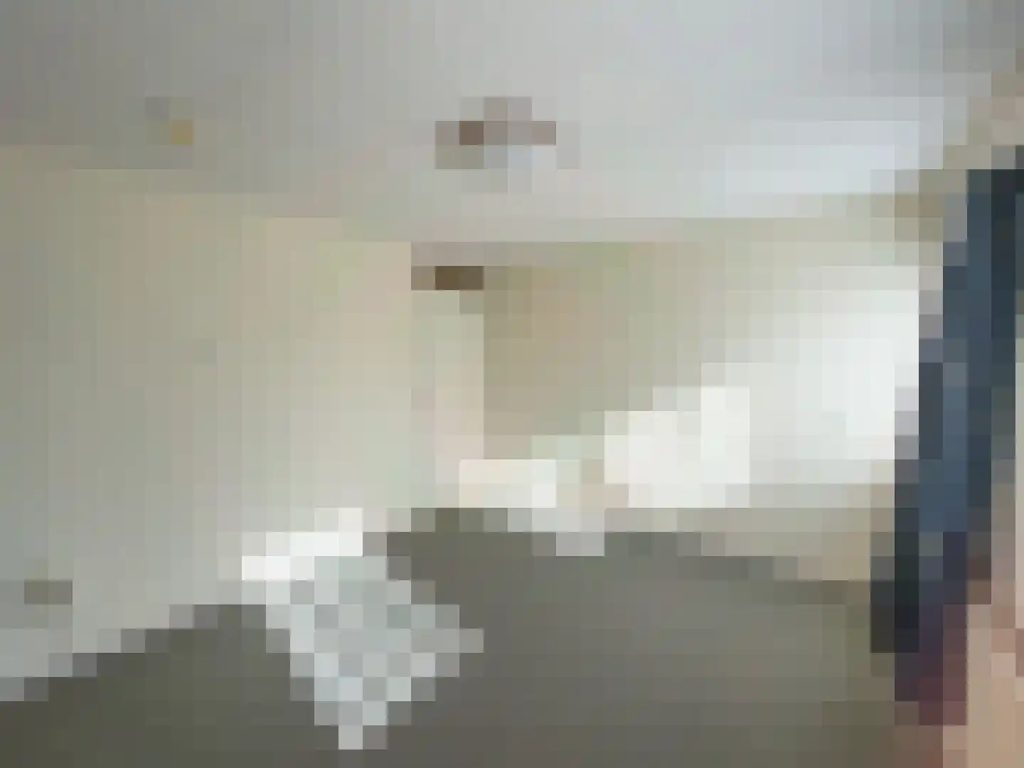 Dahliastraat 9 Wernhout thumbnail 16