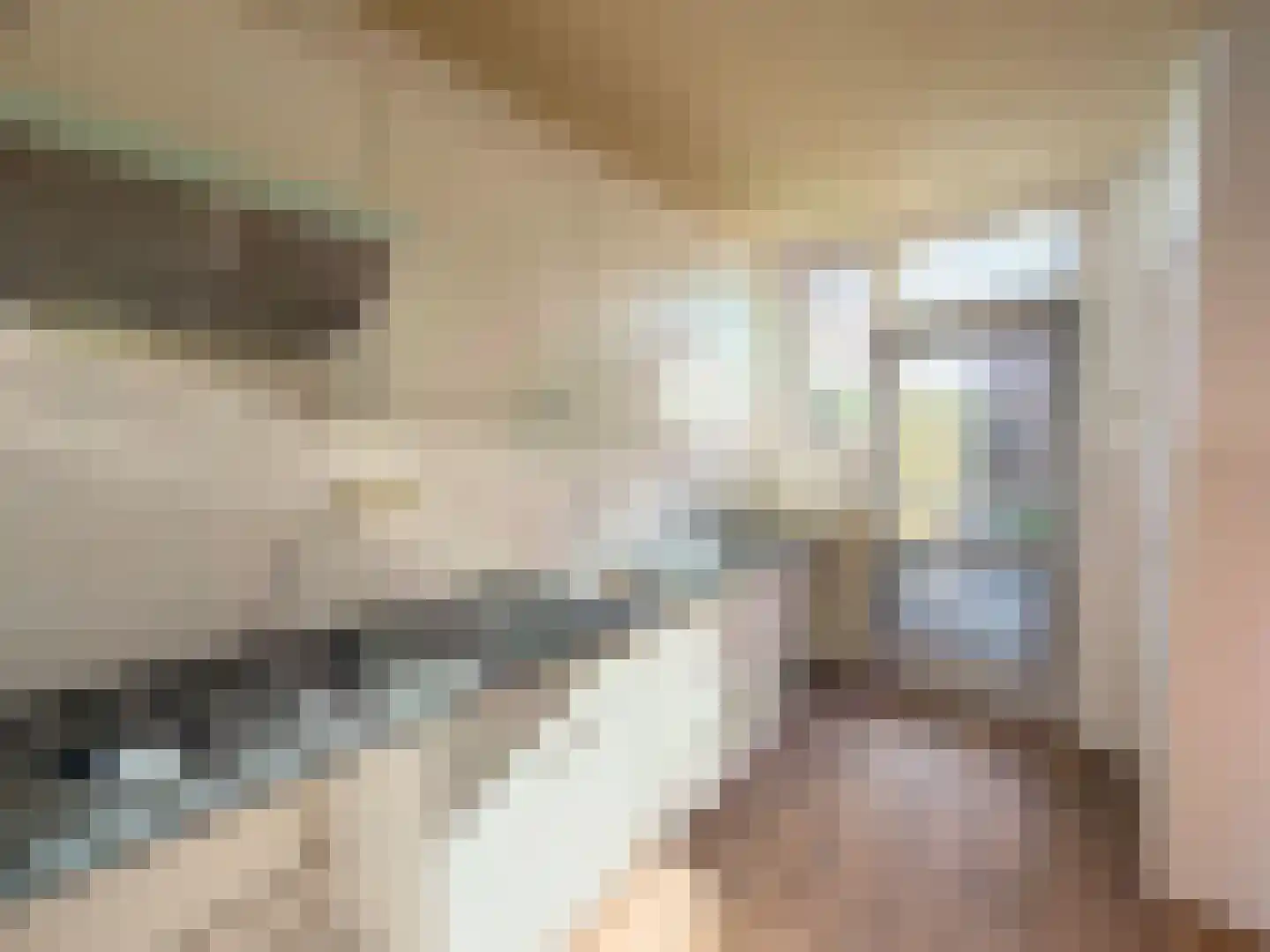Dahliastraat 9 Wernhout thumbnail 5