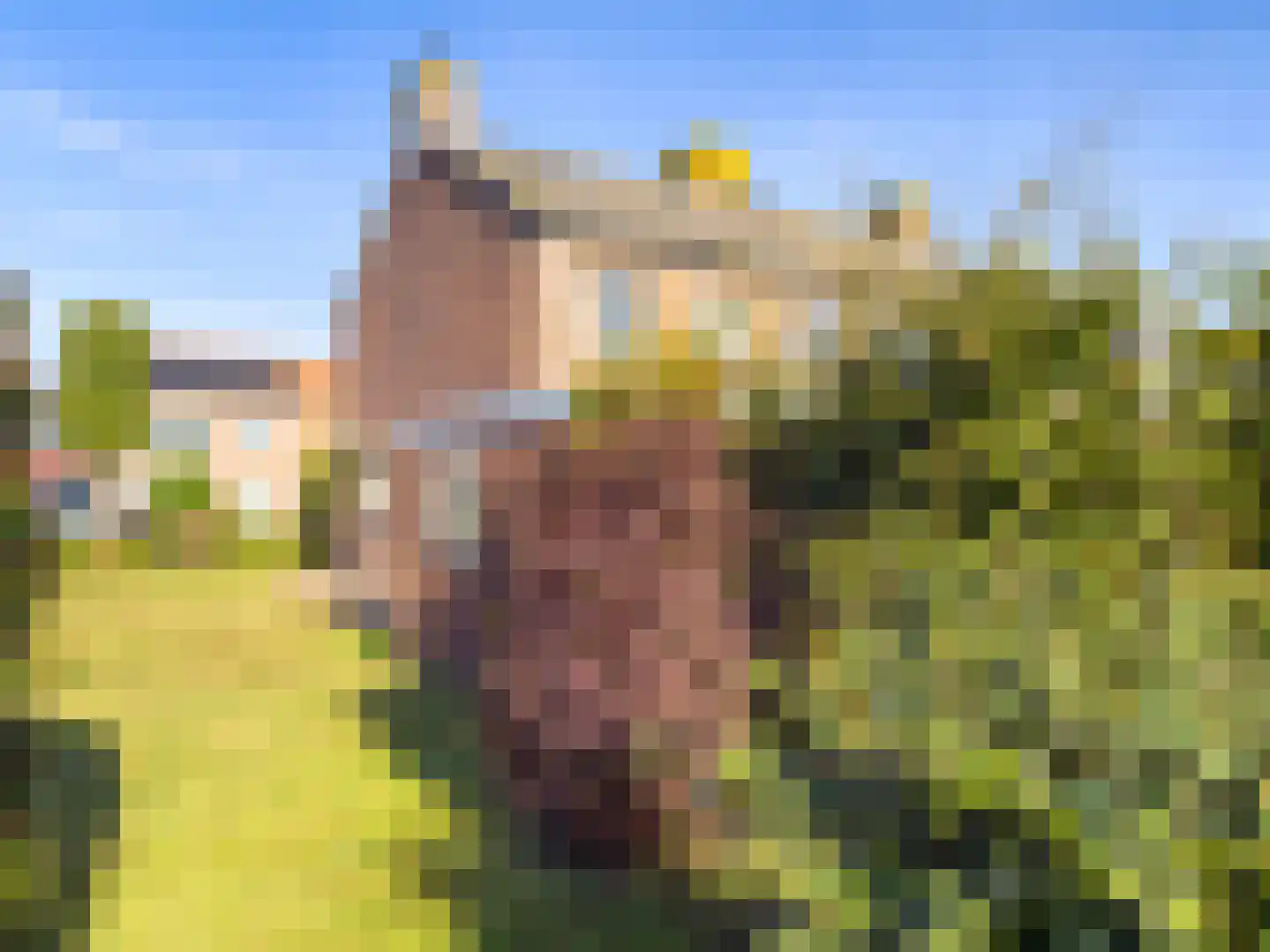 Dahliastraat 9 Wernhout thumbnail 6