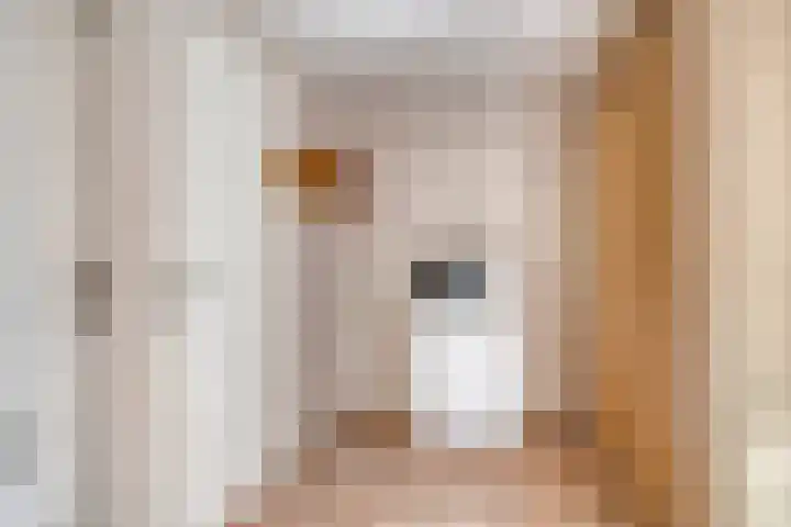 Dahliastraat 9 Winterswijk thumbnail 13