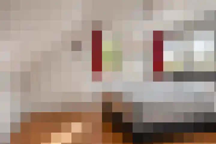 Dahliastraat 9 Winterswijk thumbnail 25