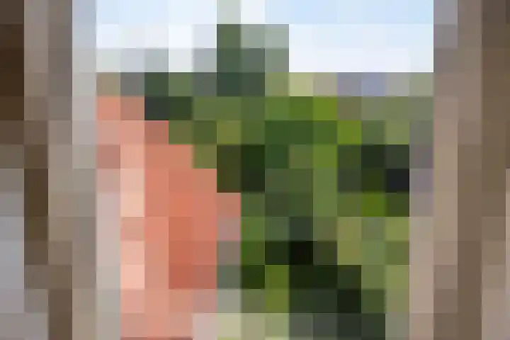 Dahliastraat 9 Winterswijk thumbnail 29