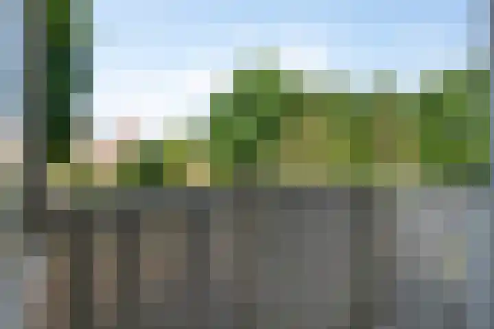 Dahliastraat 9 Winterswijk thumbnail 30