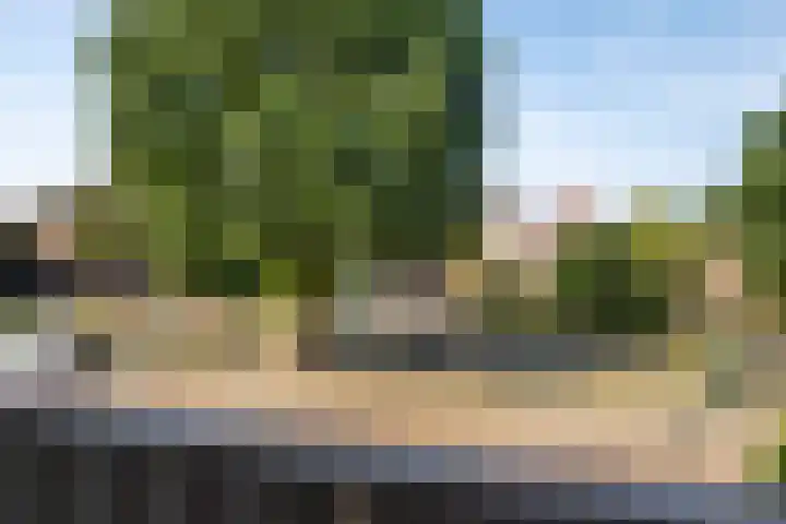 Dahliastraat 9 Winterswijk thumbnail 31