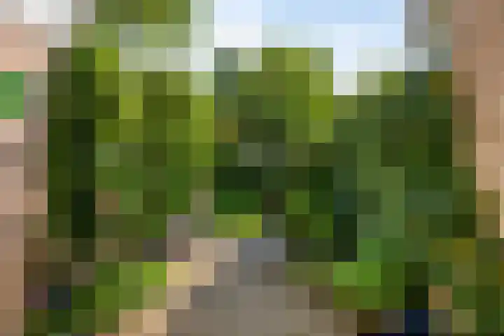 Dahliastraat 9 Winterswijk thumbnail 32