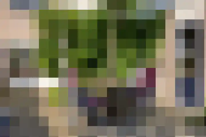 Dahliastraat 9 Winterswijk thumbnail 33