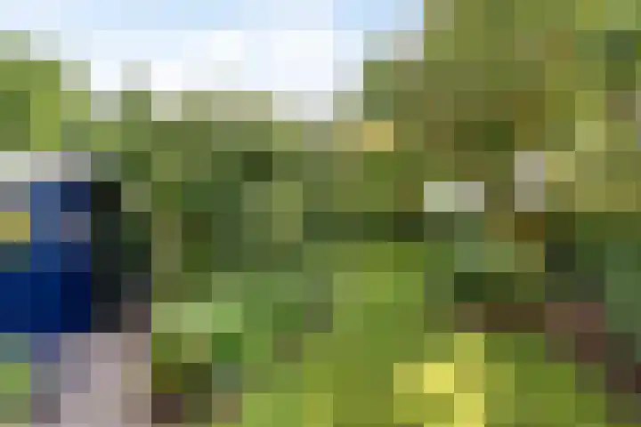 Dahliastraat 9 Winterswijk thumbnail 35