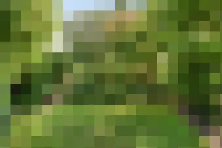 Dahliastraat 9 Winterswijk thumbnail 36