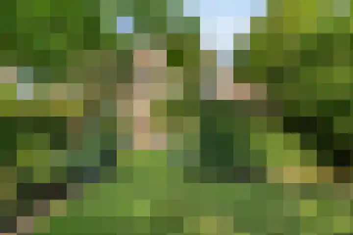 Dahliastraat 9 Winterswijk thumbnail 37