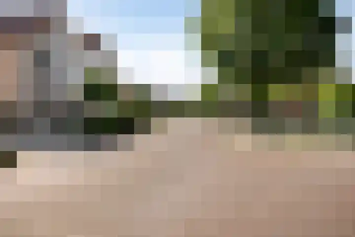Dahliastraat 9 Winterswijk thumbnail 38