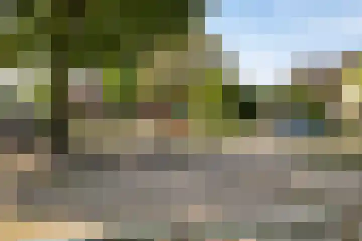 Dahliastraat 9 Winterswijk thumbnail 39