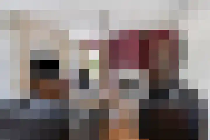 Dahliastraat 9 Winterswijk thumbnail 6
