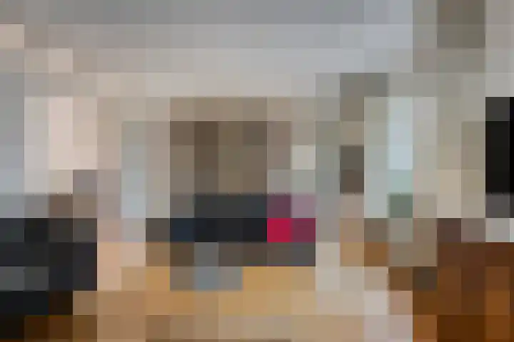 Dahliastraat 9 Winterswijk thumbnail 7
