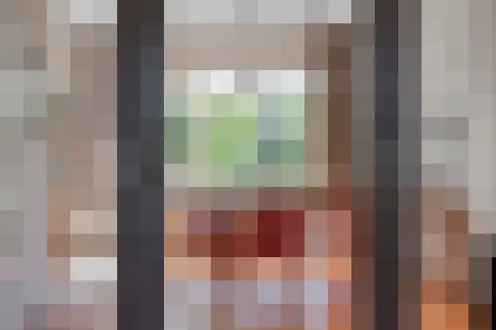 Dahliastraat 9 Winterswijk thumbnail 8