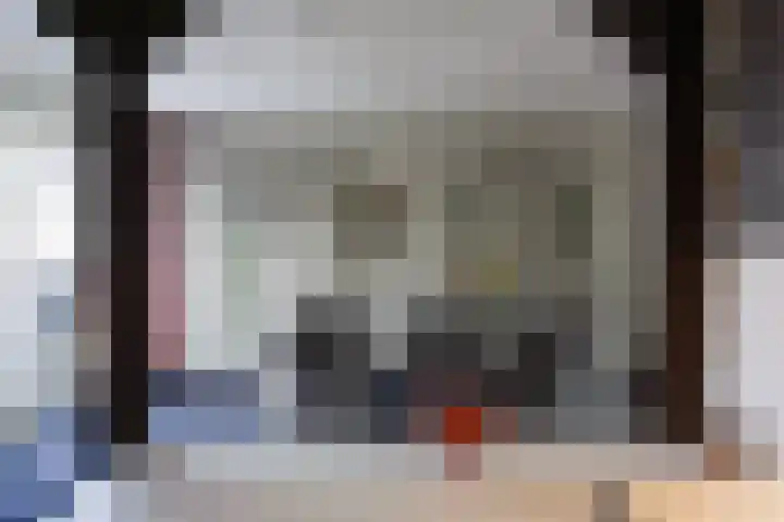 Dahliastraat 91 Bergen op Zoom thumbnail 10