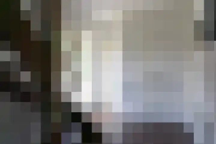 Dahliastraat 91 Bergen op Zoom thumbnail 12