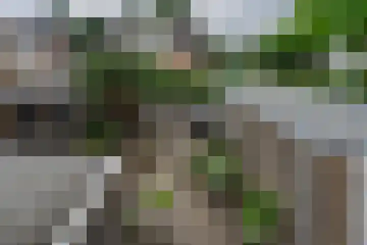 Dahliastraat 91 Bergen op Zoom thumbnail 17