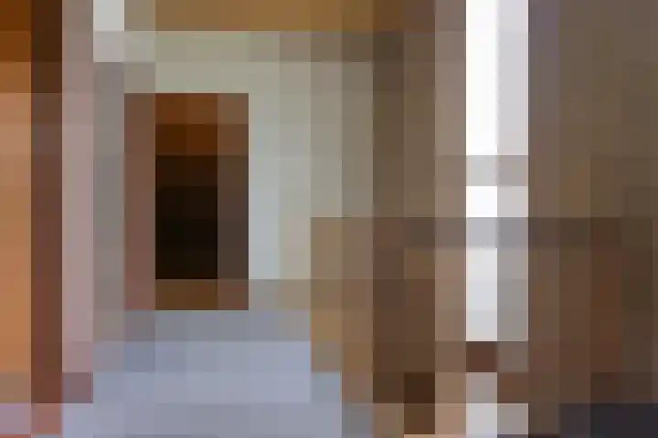 Dahliastraat 91 Bergen op Zoom thumbnail 21