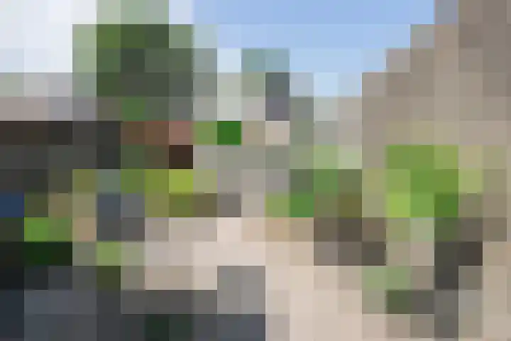 Dahliastraat 91 Bergen op Zoom thumbnail 23