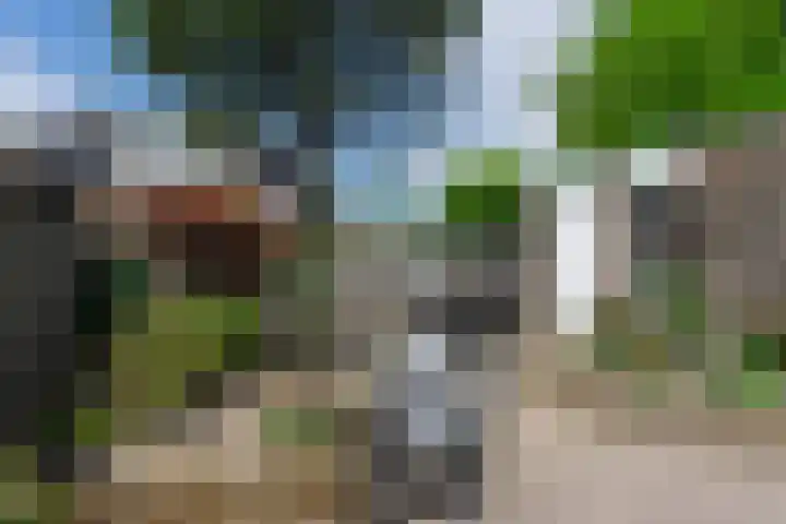 Dahliastraat 91 Bergen op Zoom thumbnail 24