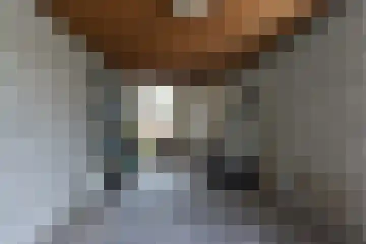 Dahliastraat 91 Bergen op Zoom thumbnail 27