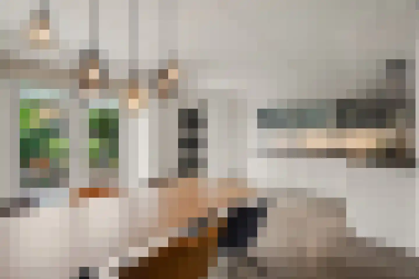 Dahliatuin 11 Houten thumbnail 13