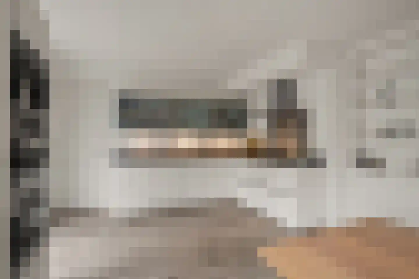 Dahliatuin 11 Houten thumbnail 14