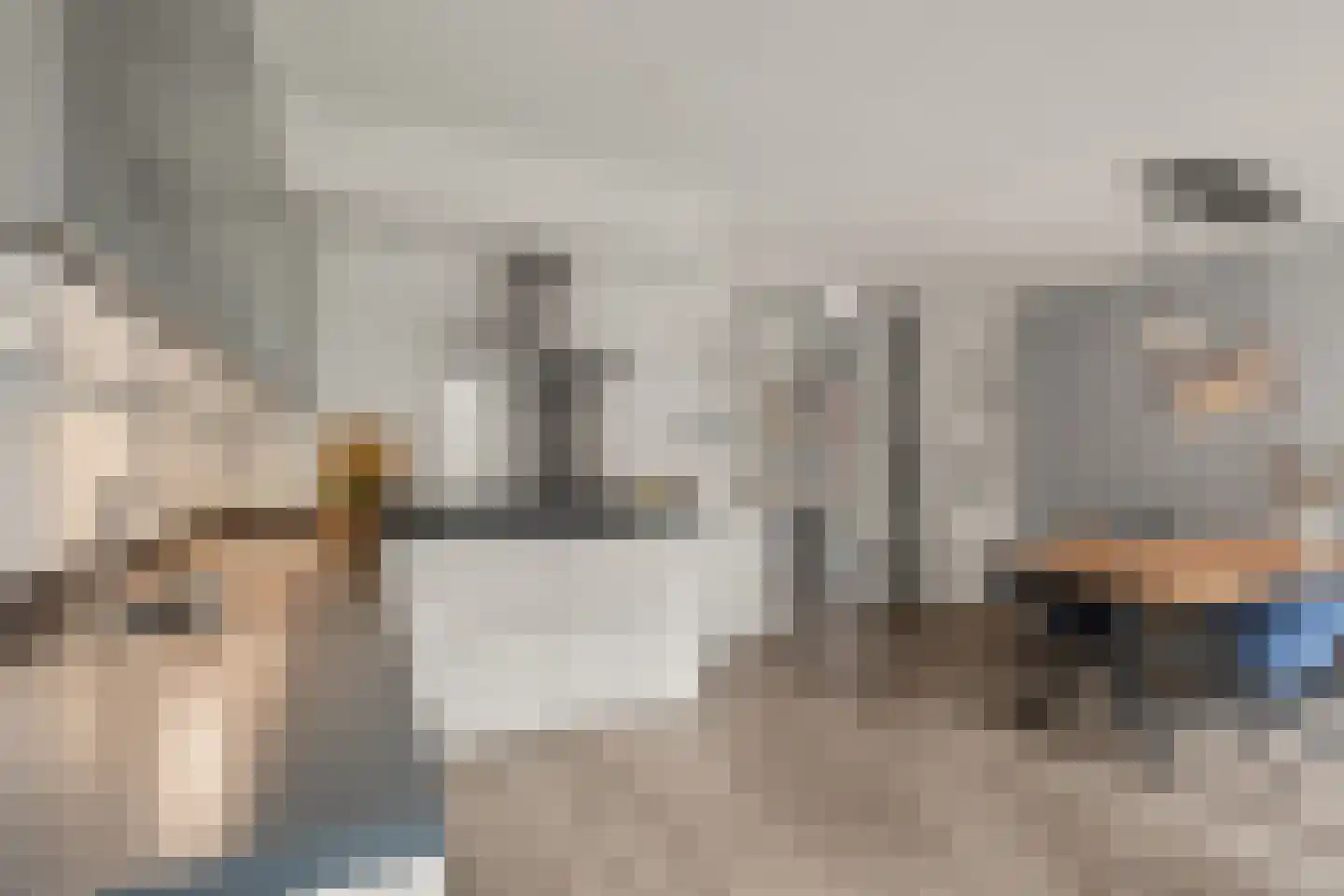 Dahliatuin 11 Houten thumbnail 17