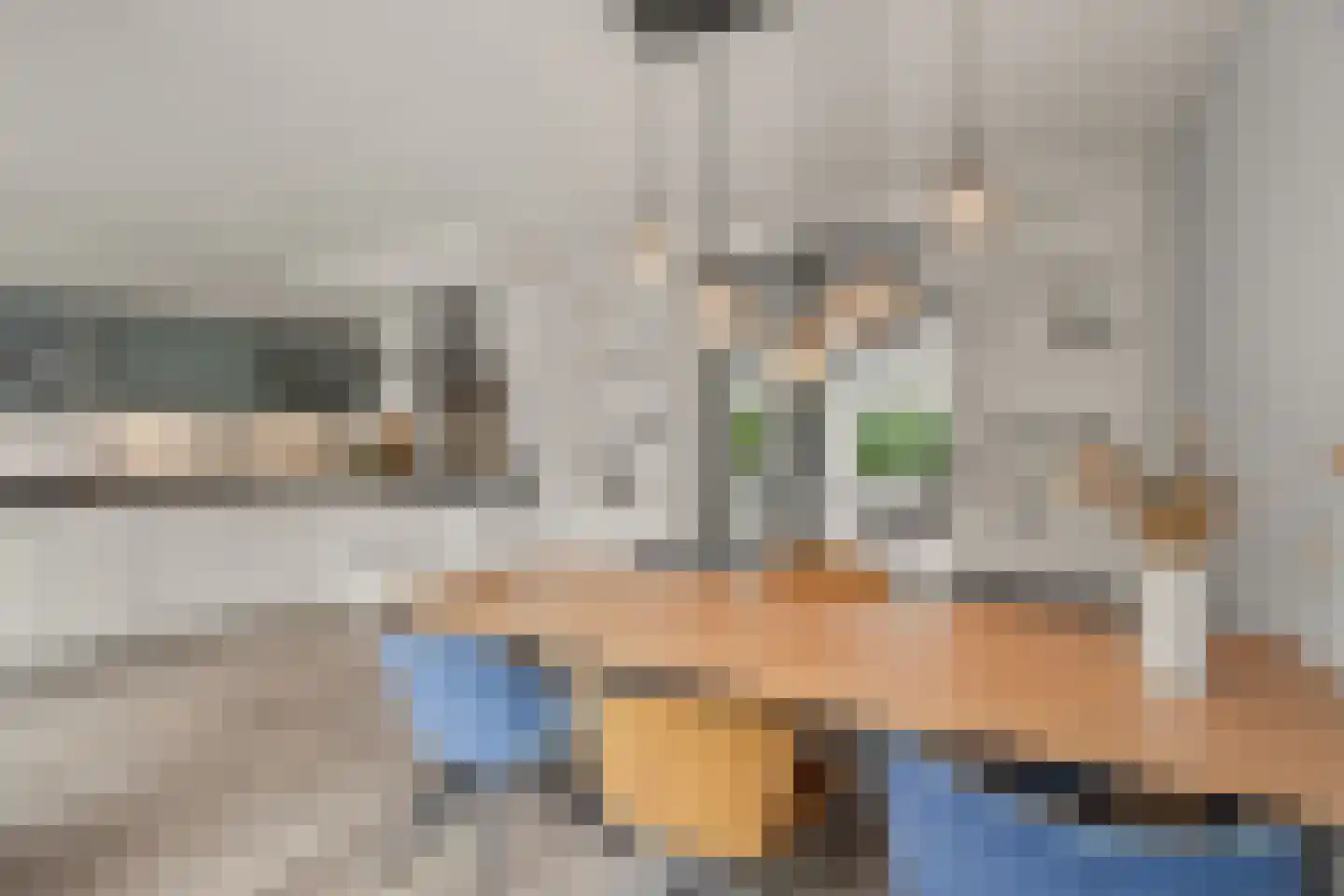 Dahliatuin 11 Houten thumbnail 19