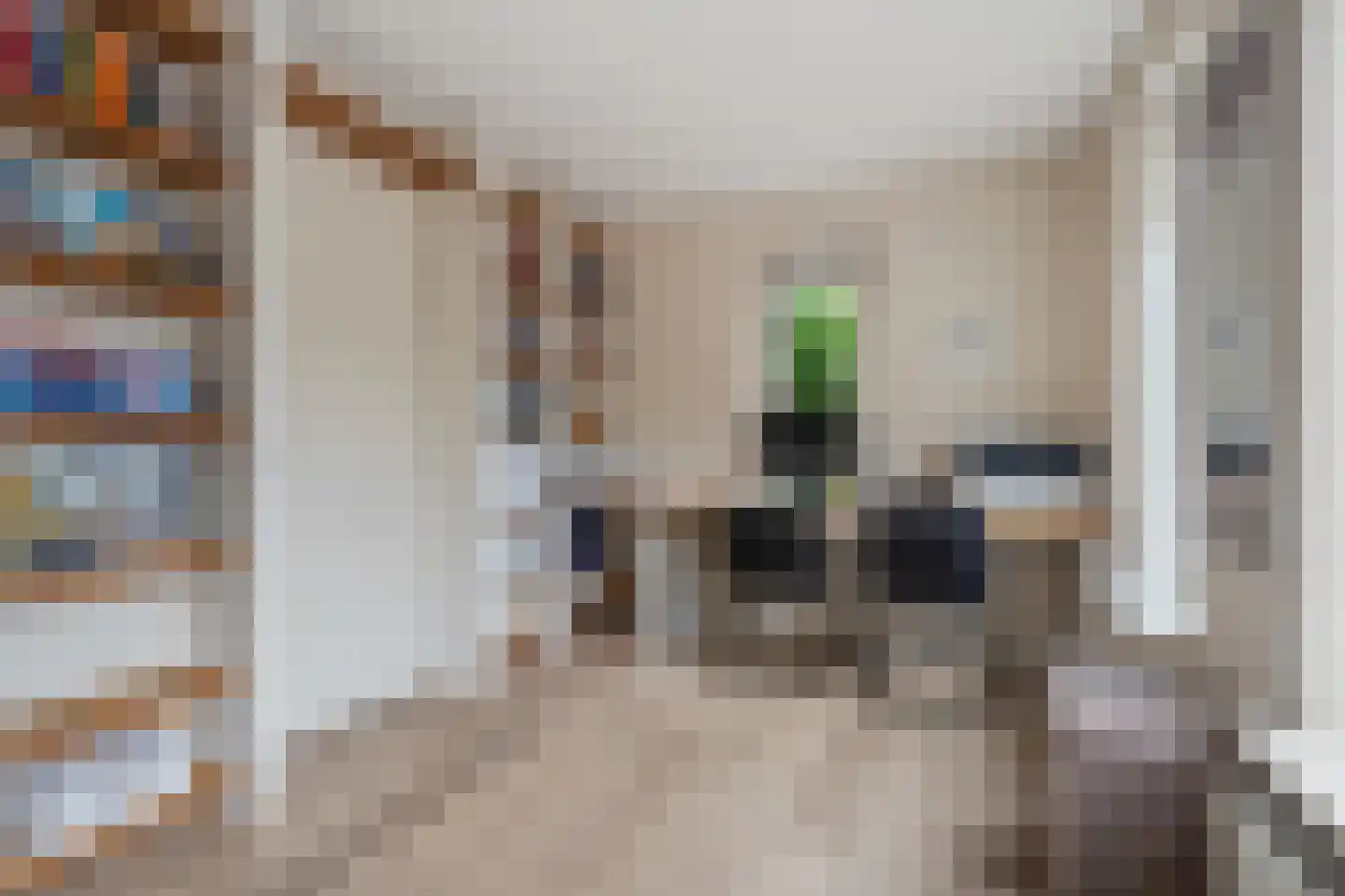 Dahliatuin 11 Houten thumbnail 22