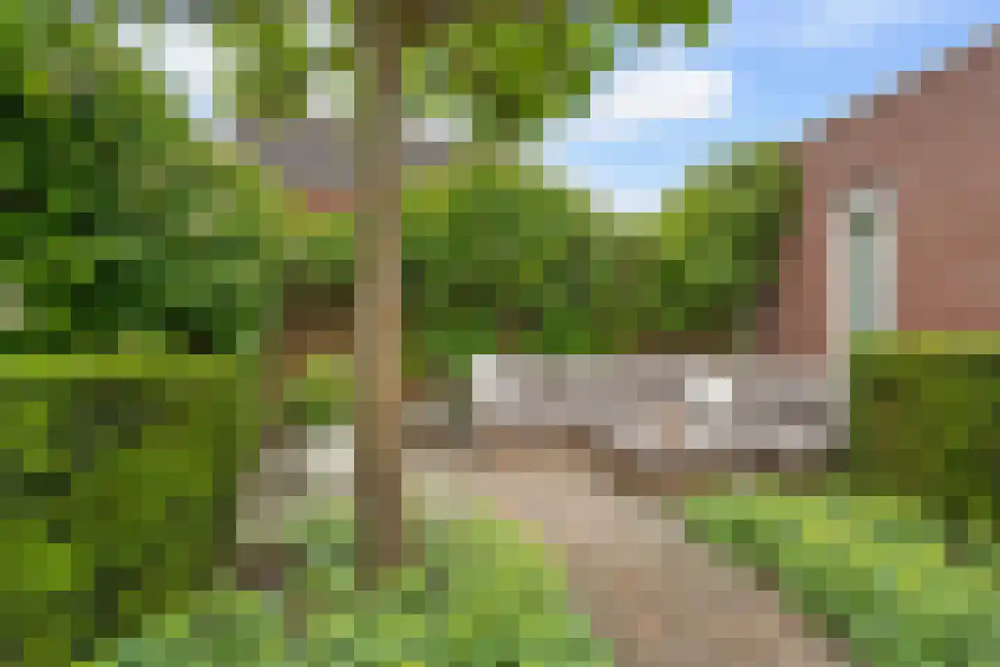 Dahliatuin 11 Houten thumbnail 24