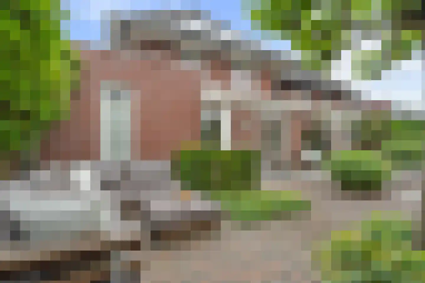 Dahliatuin 11 Houten thumbnail 25