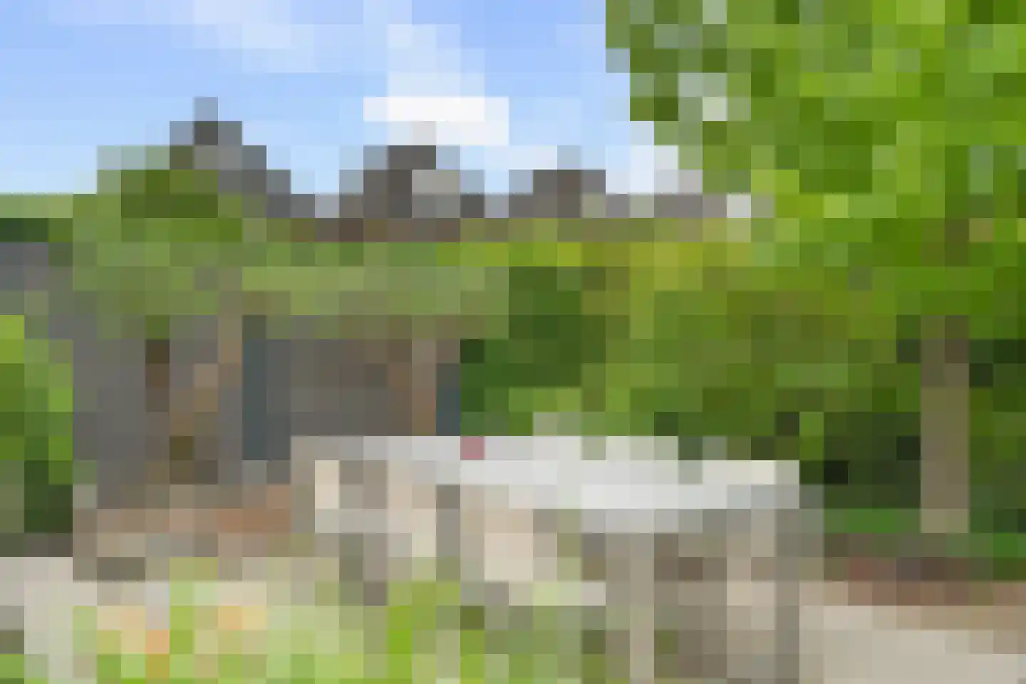 Dahliatuin 11 Houten thumbnail 27