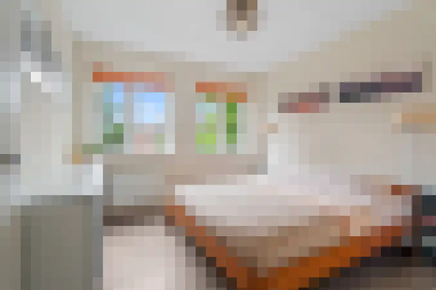Dahliatuin 11 Houten thumbnail 32