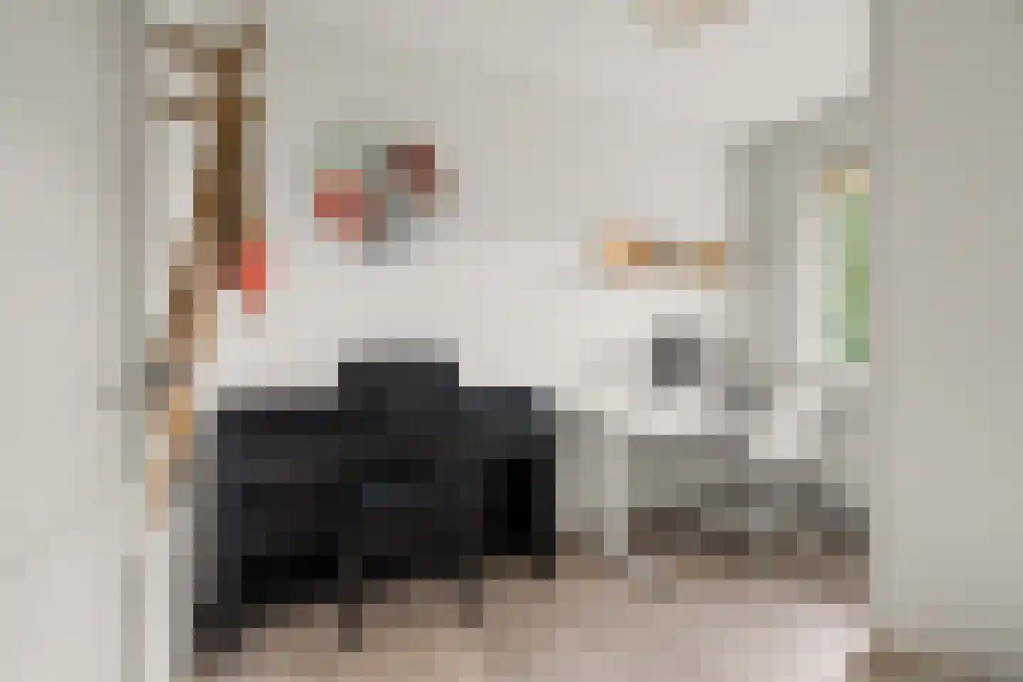 Dahliatuin 11 Houten thumbnail 34