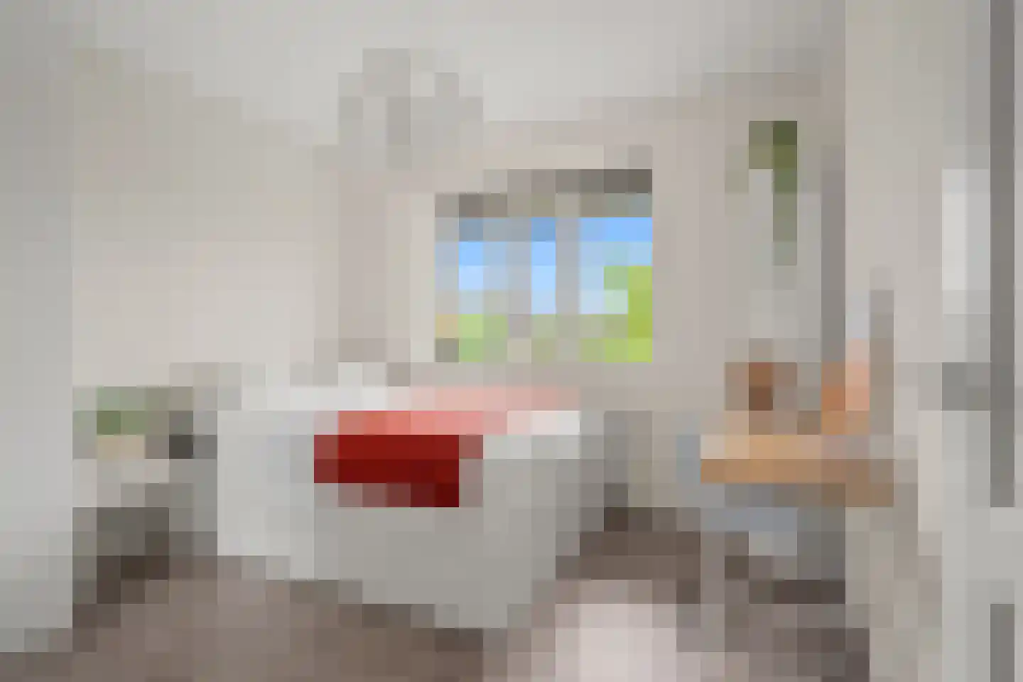Dahliatuin 11 Houten thumbnail 37