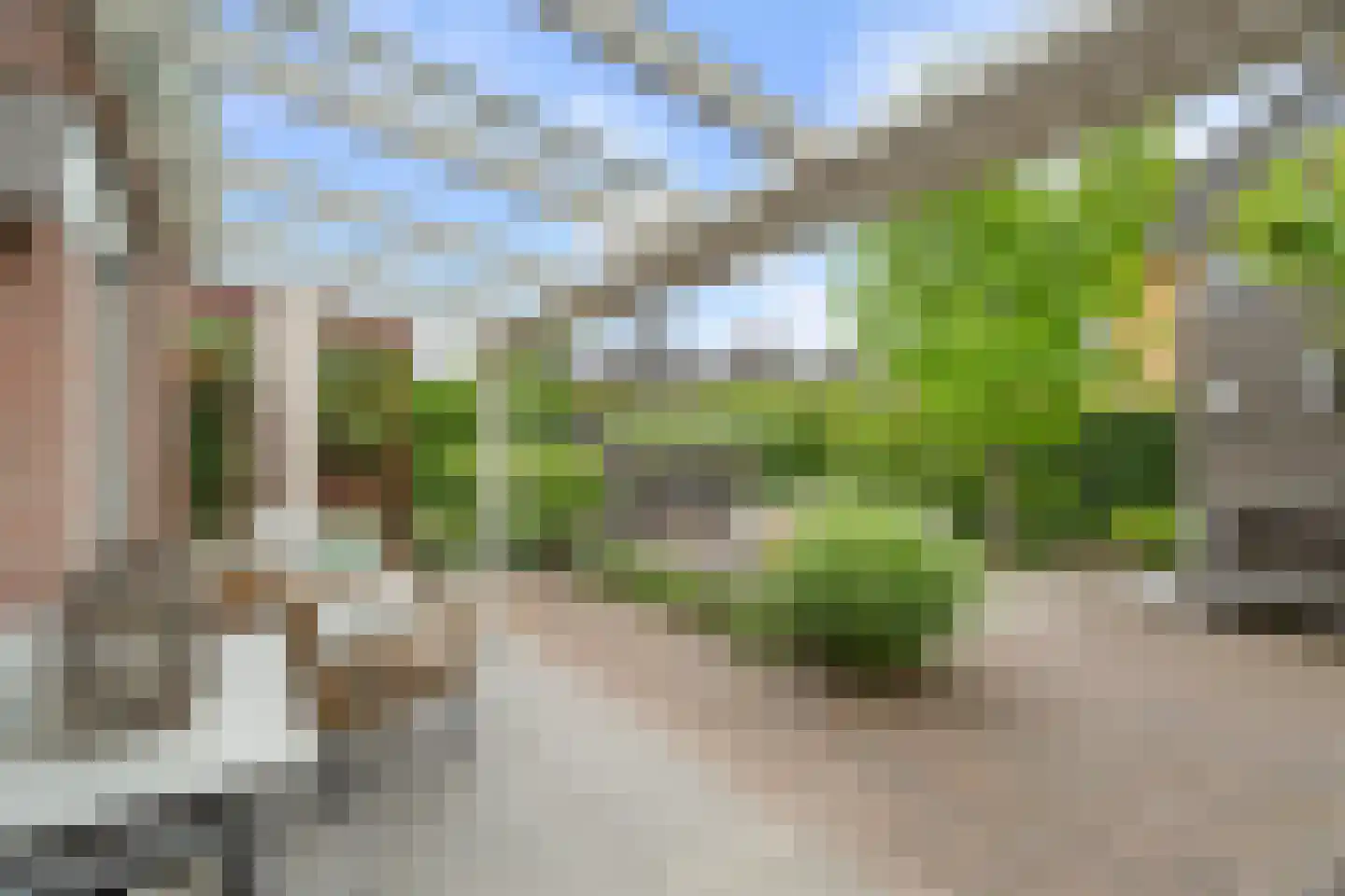 Dahliatuin 11 Houten thumbnail 4