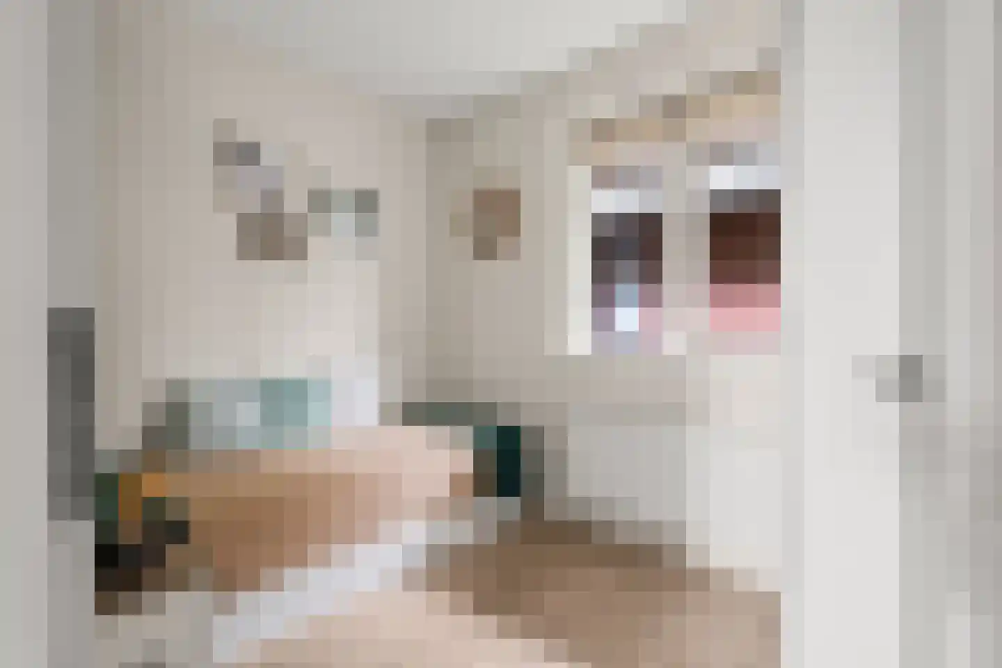 Dahliatuin 11 Houten thumbnail 40