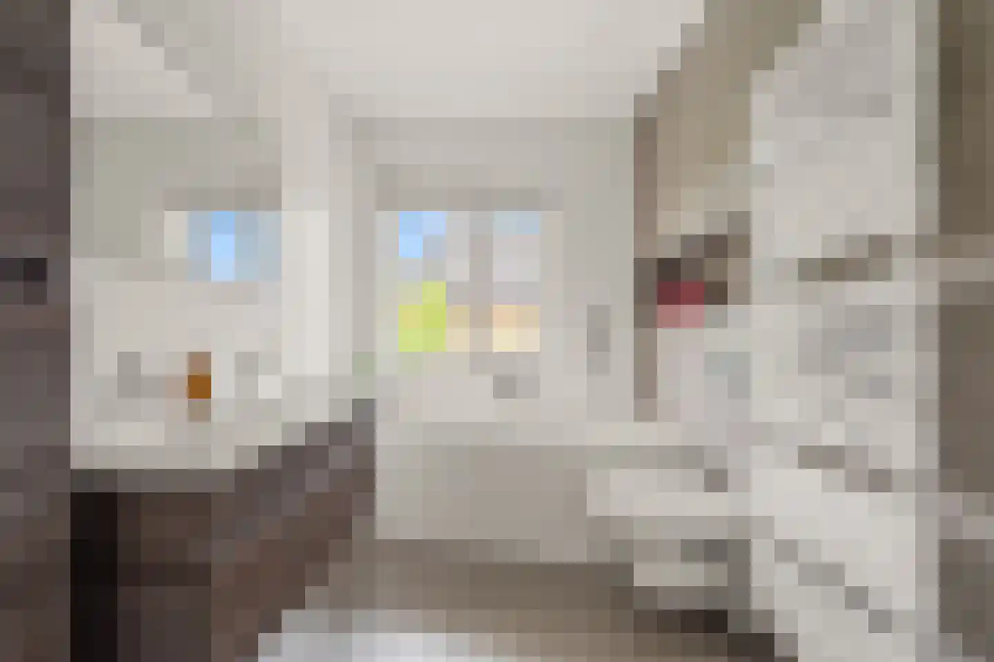 Dahliatuin 11 Houten thumbnail 42