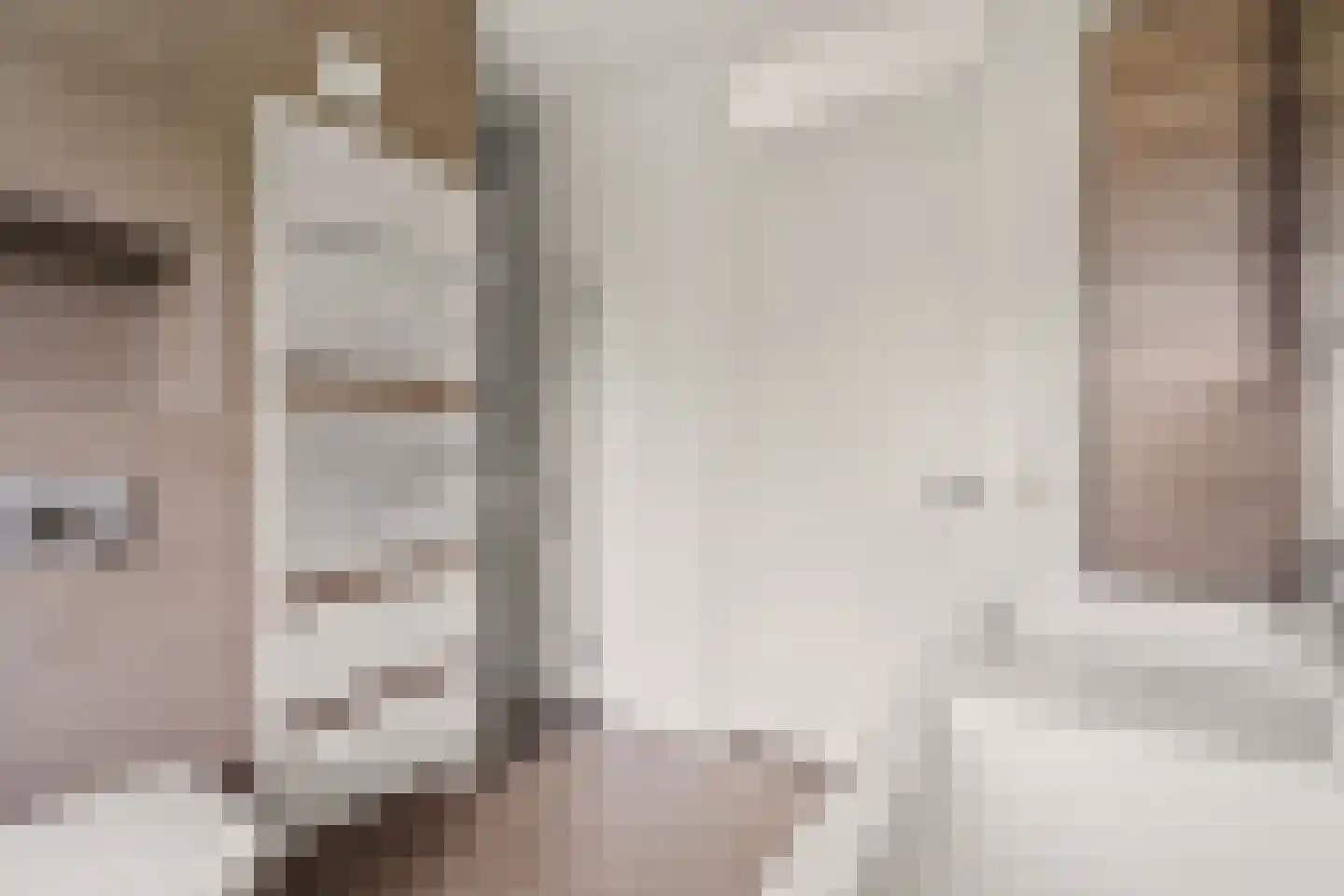 Dahliatuin 11 Houten thumbnail 43