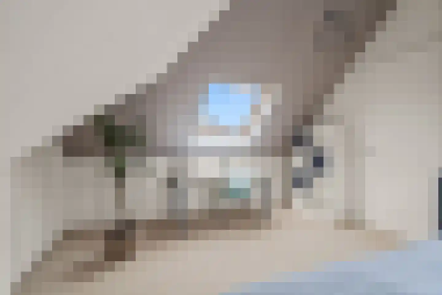 Dahliatuin 11 Houten thumbnail 48