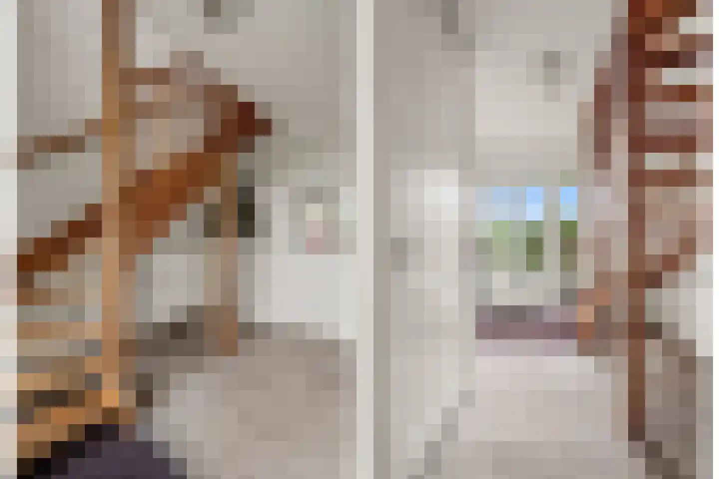 Dahliatuin 11 Houten thumbnail 49