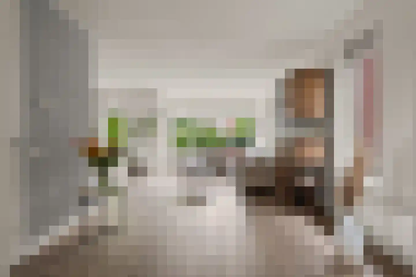 Dahliatuin 11 Houten thumbnail 5