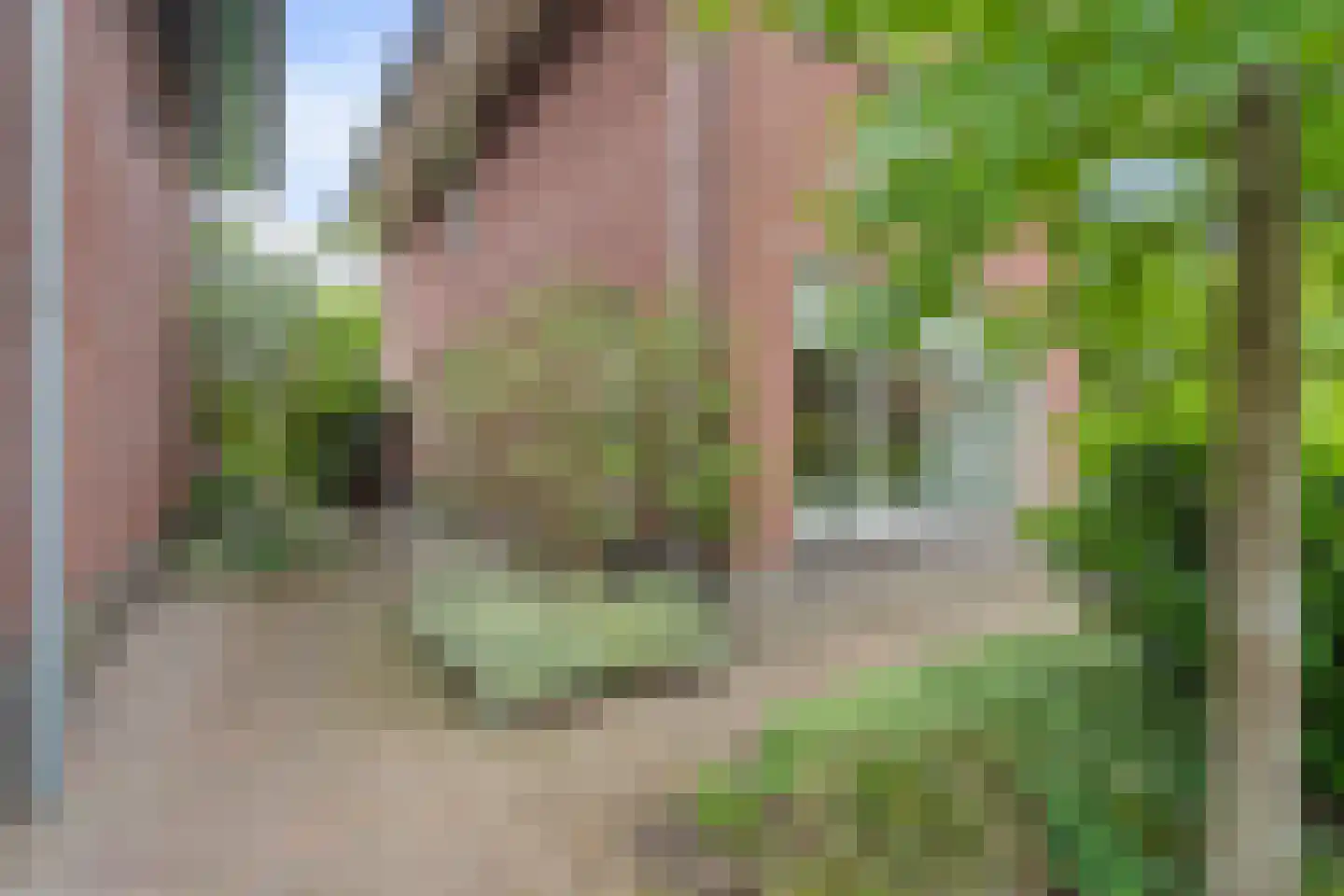 Dahliatuin 11 Houten thumbnail 52