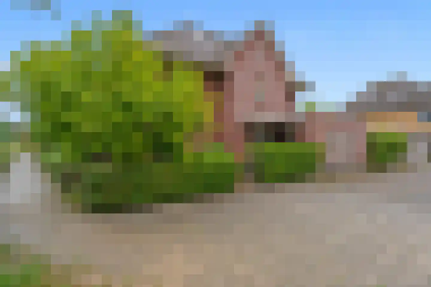 Dahliatuin 11 Houten thumbnail 53